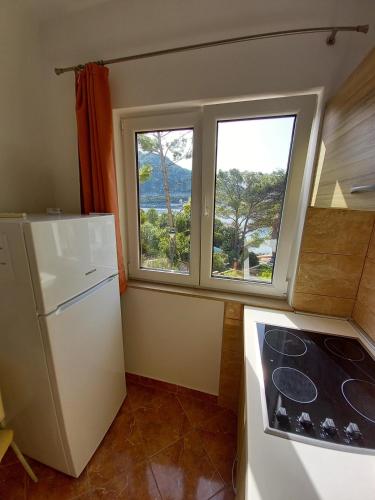 a kitchen with a white refrigerator and a window at Apartments Vinko in Sobra