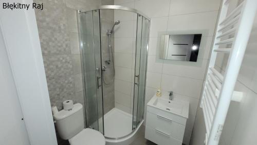 uma casa de banho com um chuveiro, um WC e um lavatório. em Apartament Błękitny Raj em Krynica Morska