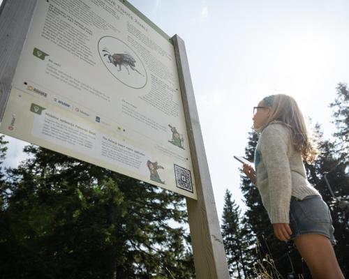 a young girl standing next to a sign at Hotel Natura in Zreče