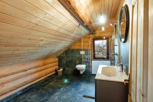 a bathroom with wooden walls and a toilet and a sink at Poeme Chalet in Râșca