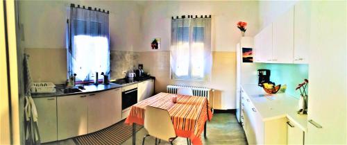 Kuchyň nebo kuchyňský kout v ubytování Casa le palme -Montagnola