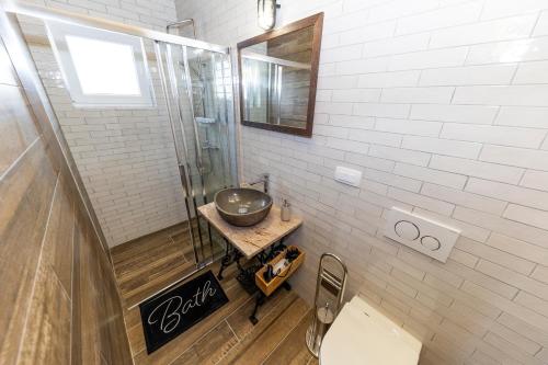 a bathroom with a sink and a shower and a toilet at Villa Maza in Ždrelac