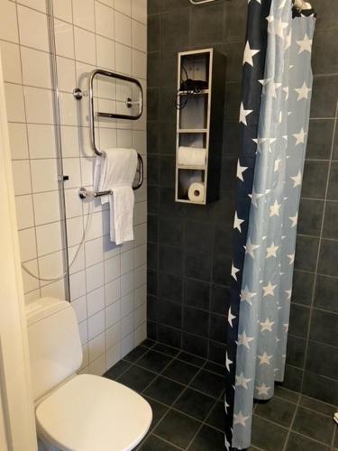 a bathroom with a toilet and a shower at Bruksmässen Hotell in Degerfors