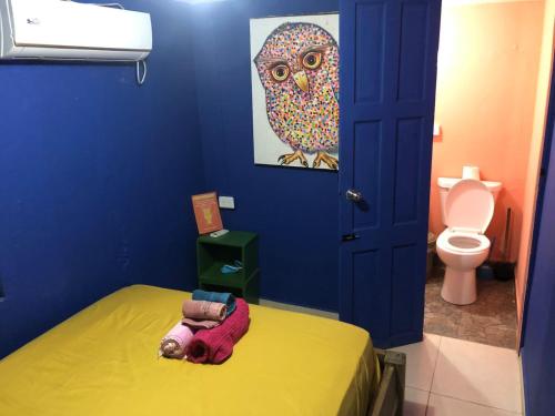 Gallery image of Twin Fin Hostels in Bocas Town
