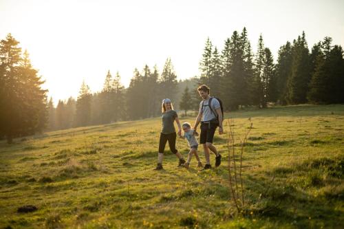 two adults and a child walking in a field at Hotel Planja in Zreče