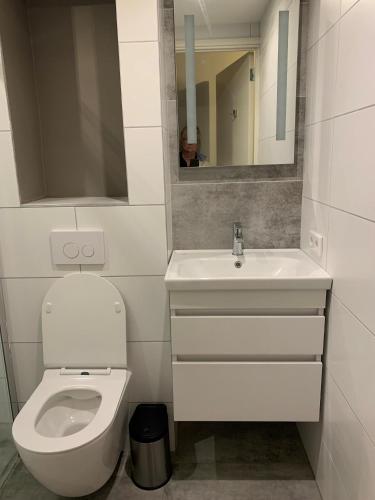a bathroom with a toilet and a sink and a mirror at Boutique Hotel en B&B De Zwammenberg in De Moer