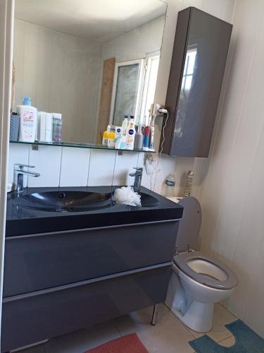 une salle de bain avec un lavabo, des toilettes et un miroir dans l'établissement Les Hébergements de la plage sur la côte bleu Martigues, à Martigues