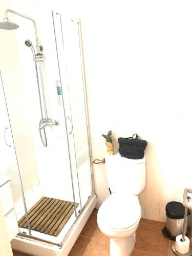 ein Bad mit einer Dusche und einem WC in der Unterkunft Apartament Cadaqués, Casa Nou 1935 in Cadaqués