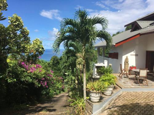 a palm tree in front of a house at Hilltop South - Villa Bougainville in Takamaka