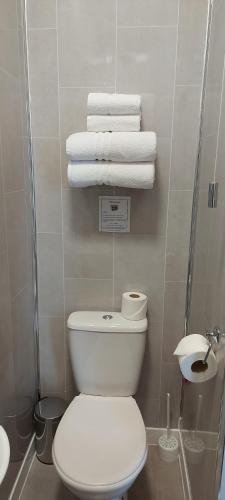 a bathroom with a toilet and a shower and towels at Cranmore Guest House in Torquay