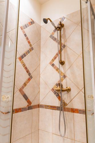 d'une douche avec une porte en verre et un pommeau de douche. dans l'établissement Maison Camilia, à Saint-Aignan