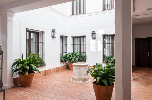 Suites Murillo Catedral photo 33