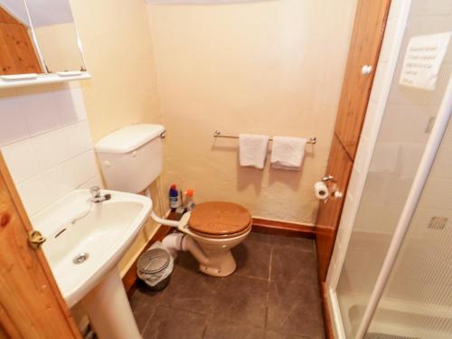 un piccolo bagno con servizi igienici e lavandino di The Thatched Cottage a Liscarney