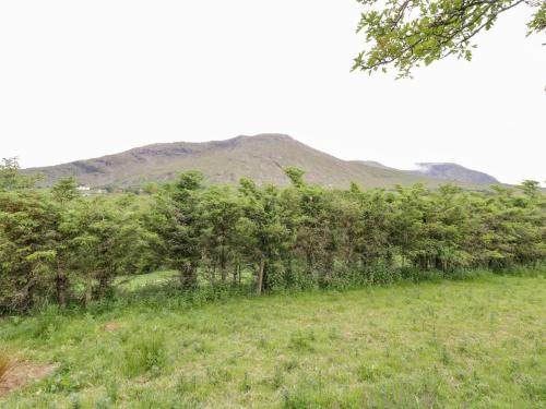 a field with trees and a mountain in the background at The Thatched Cottage in Liscarney