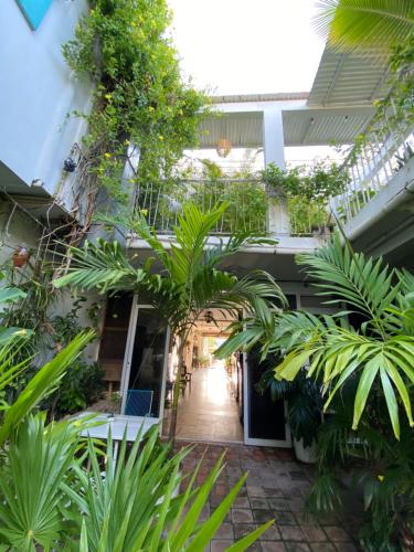 a courtyard of a house with plants at Hotel La Piazzetta in Mérida