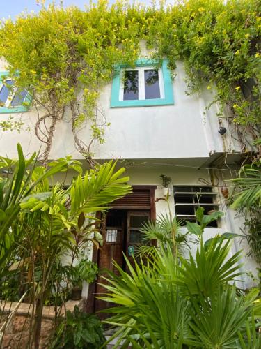 a house with a blue window and plants at Hotel La Piazzetta in Mérida