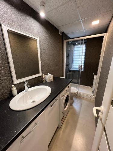 y baño con lavabo y lavadora. en Draudzības alejas apartamenti, en Jēkabpils