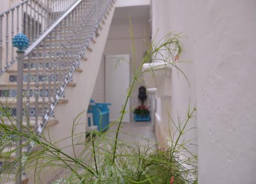 a staircase in a house with some plants at The Court Suites & Spa in Taranto