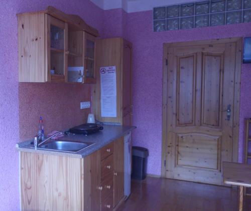 a kitchen with a sink and a wooden door at Penzion Apartmány Bečov in Bečov nad Teplou