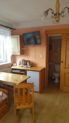 Kuchyňa alebo kuchynka v ubytovaní Penzion Apartmány Bečov
