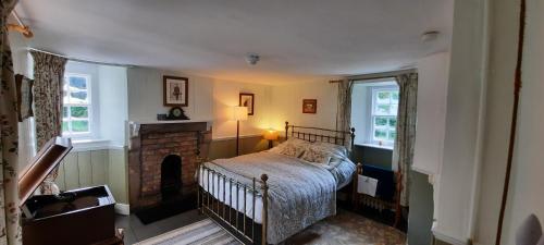 Auchleven的住宿－West Wing Lickleyhead Castle，一间卧室配有一张床和一个壁炉