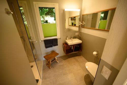 uma casa de banho com um lavatório, um WC e um espelho. em Ferienhaus Haus im Garten em Feldkirch