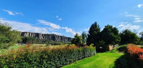 a field with trees and a mountain in the background at Casa del Oro in Suesca