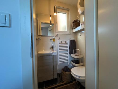a small bathroom with a toilet and a sink at Center City Apartment in Zagreb