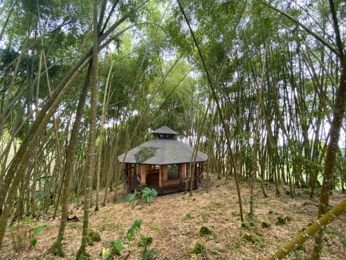 Dharma Biotherapy Hotel – Photos 4