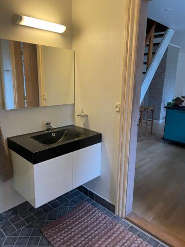 La salle de bains est pourvue d'un lavabo et d'un miroir. dans l'établissement Feriehus i skøn natur, à Stenstrup