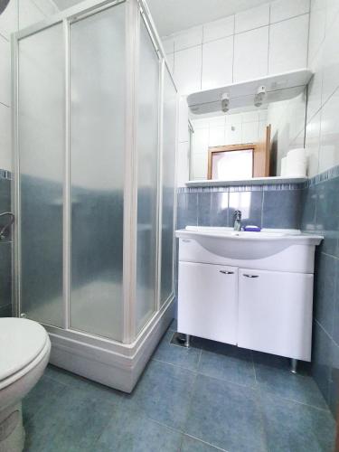 a bathroom with a shower and a sink and a toilet at Apartments Prajo, Orebić in Orebić