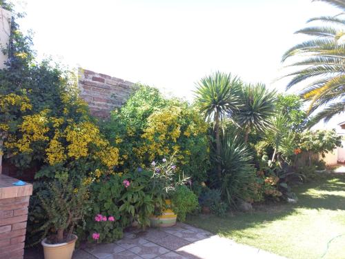 a garden with plants and flowers in pots at LA PALMERA in Maipú