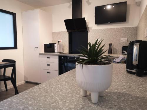 a kitchen with a potted plant sitting on a counter at Eastcliff Escape Folkestone in Folkestone
