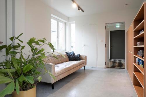 uma sala de estar com um sofá e uma planta em stek&stoof em Sint-Pauwels