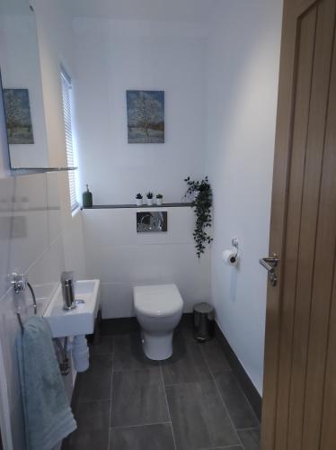 a white bathroom with a toilet and a sink at Trevose, sea views in Port Isaac