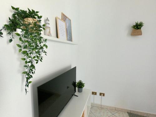 a living room with a tv and plants on the wall at La Casetta sul Golfo in Sferracavallo