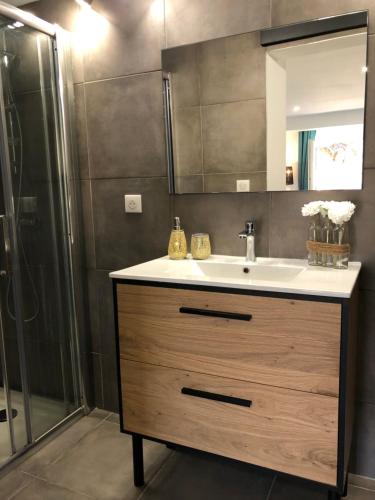 a bathroom with a sink and a shower at Charmant appartement à Ajaccio in Ajaccio