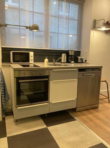 une cuisine avec un évier et un micro-ondes dans l'établissement JAZZ - Appart original 5pers rdch arrière cour calme, à Mulhouse