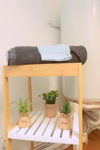 - un lit superposé avec 2 plantes sur une étagère dans l'établissement LD-Location Boulogne-sur-mer, à Boulogne-sur-Mer