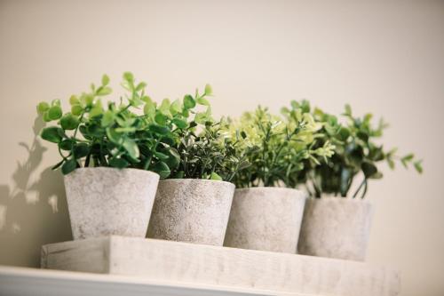 four potted plants sitting on top of a shelf at Cleabarrow View in Windermere