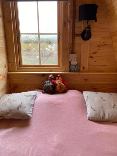 two stuffed animals sitting on a bed in a room with a window at Pinkys Pod at Rock Lodge in Alnwick