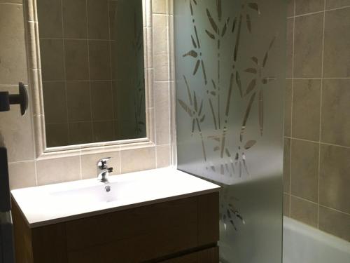 uma casa de banho com um lavatório e um chuveiro com um espelho. em Appartement Valloire, 2 pièces, 4 personnes - FR-1-263-454 em Valloire