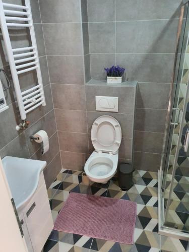 La petite salle de bains est pourvue de toilettes et d'un lavabo. dans l'établissement Apartman Banija, à Banja Koviljača