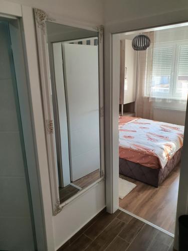 a bedroom with a mirror and a bed at Apartman Banija in Banja Koviljača