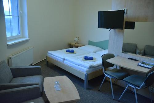 pokój hotelowy z łóżkiem i telewizorem w obiekcie Penzion ve věži w mieście Bohumín