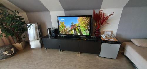 Televisyen dan/atau pusat hiburan di Bed & Breakfast Ravelin