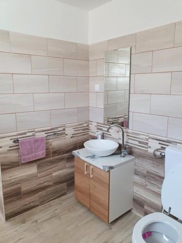 a bathroom with a sink and a toilet at Família Apartman Cserkeszőlő in Cserkeszőlő