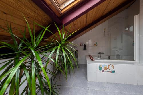 baño con bañera y maceta en Duplex en el centro en Oviedo
