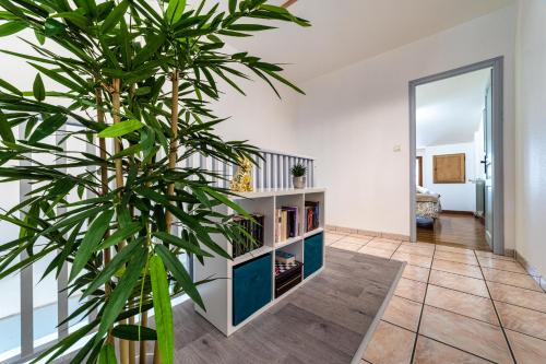 un salon avec une étagère et une plante dans l'établissement T3 GAILLAC ST-JEAN-Fibre-Netflix-Parking, à Gaillac