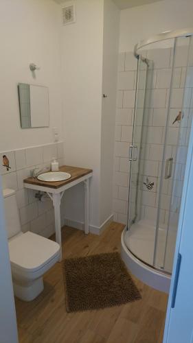 韋特利納的住宿－WidziMiSie，浴室配有卫生间、盥洗盆和淋浴。